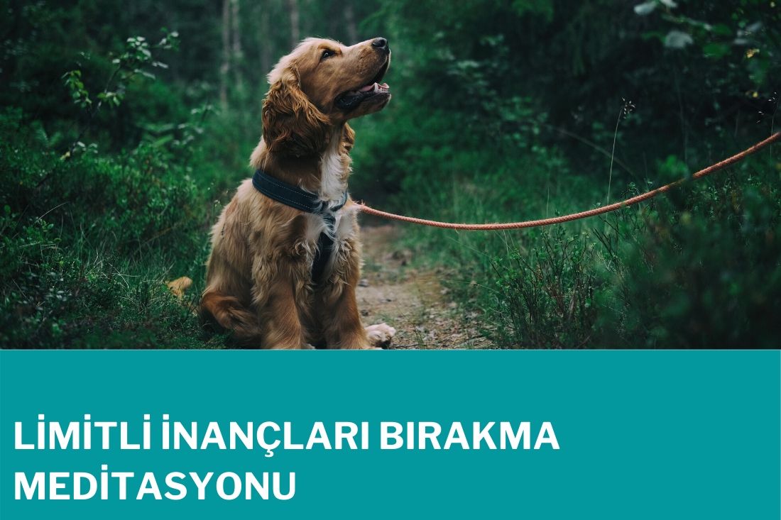 Limitli İnançları Bırakma Meditasyonu