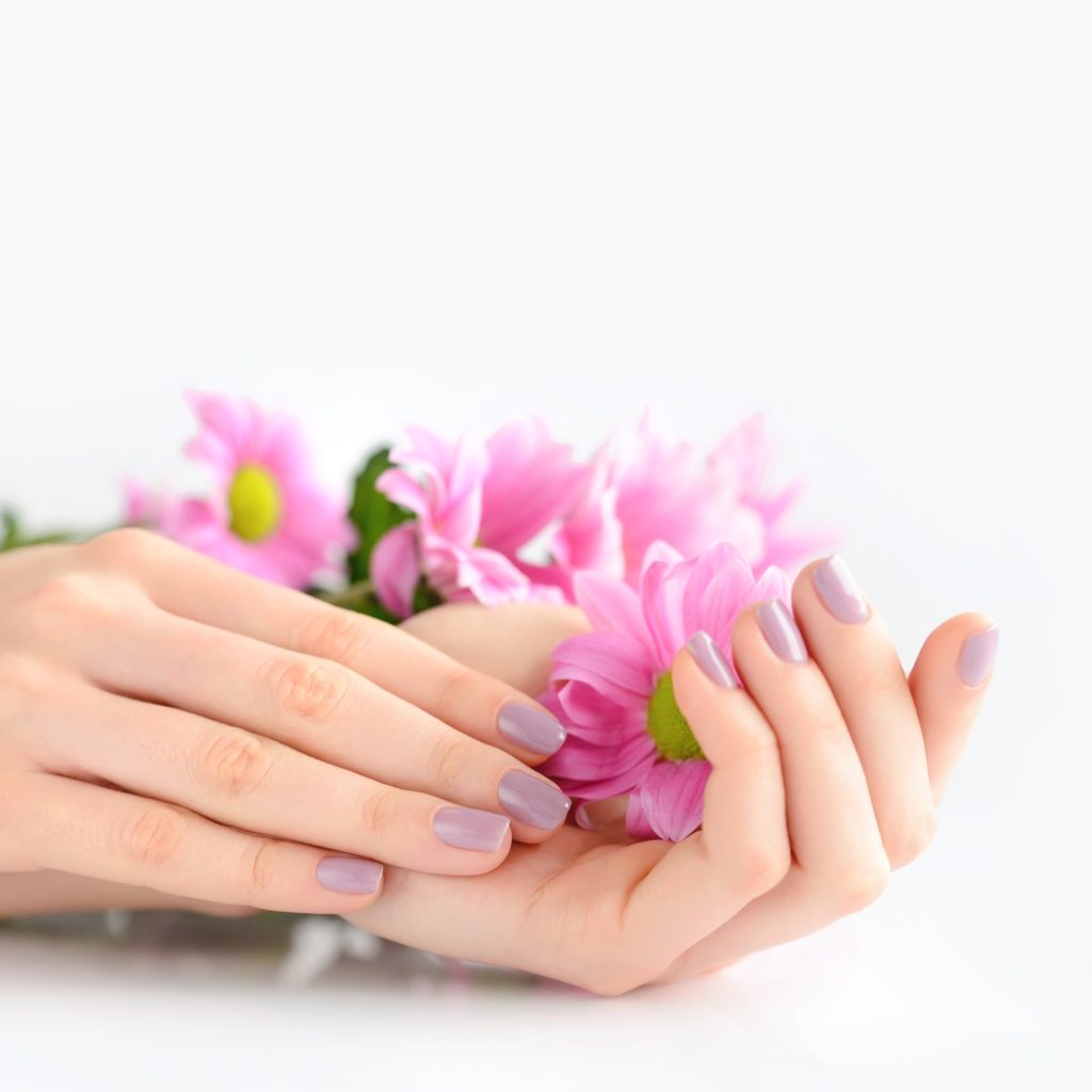 Hands of a woman with pink manicure on nails and pink flowers on