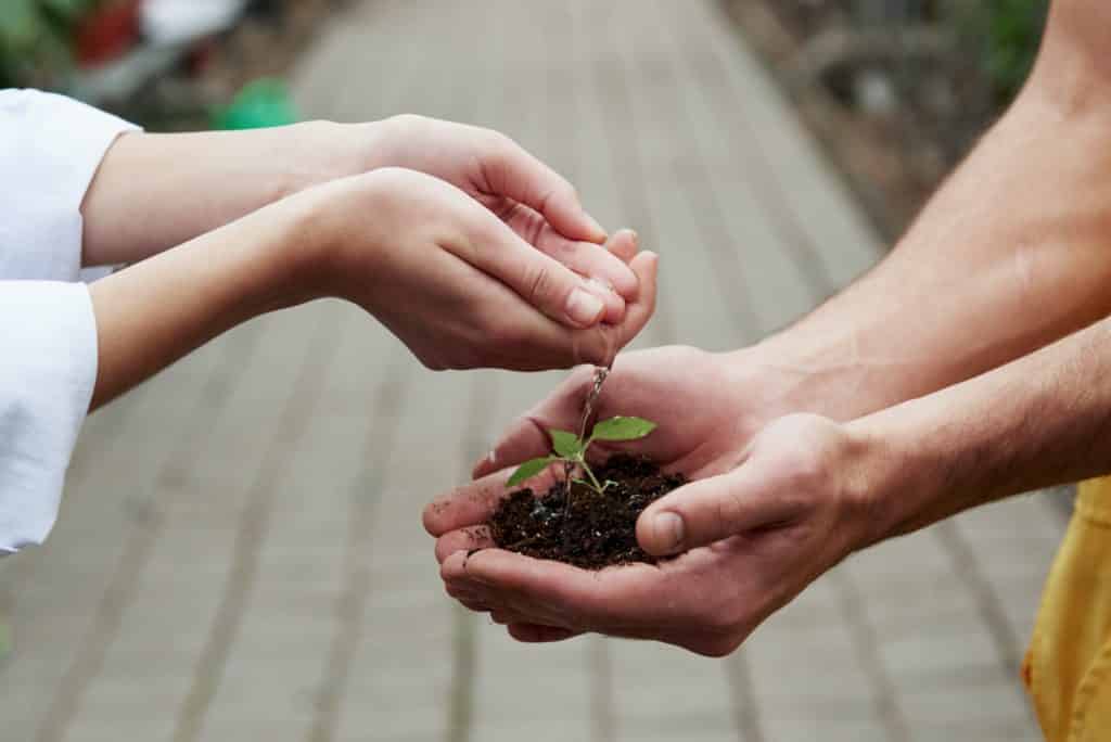 Roots gets support. Woman hands watering the little plant that holding by a men